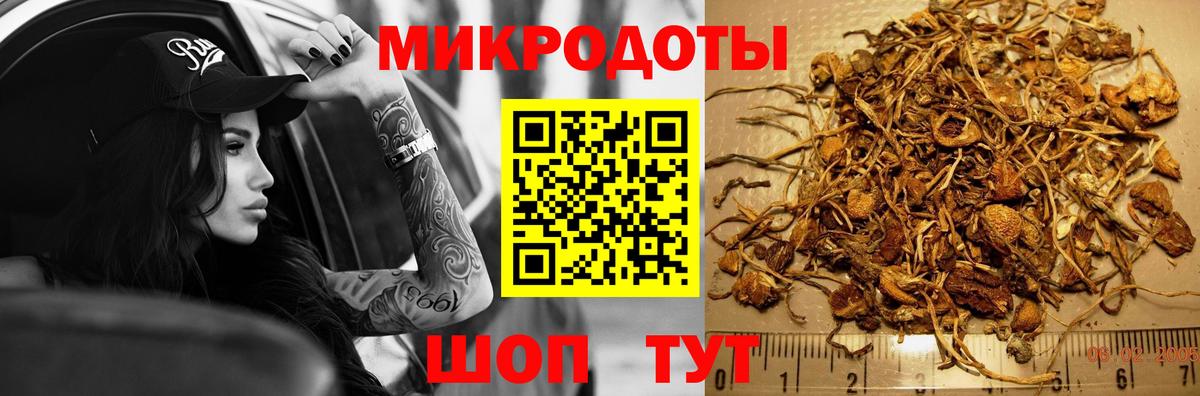 Псилоцибиновые грибы Magic Shrooms  Вход с VPN  Кимовск 